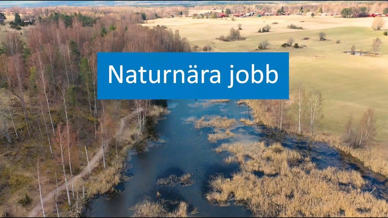 skog och naturvard hitta jobb i